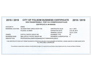 California Business License